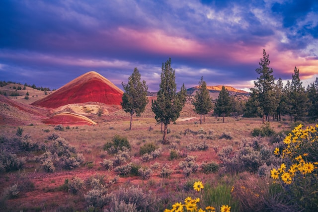 Animi est et ea asperiores molestiae